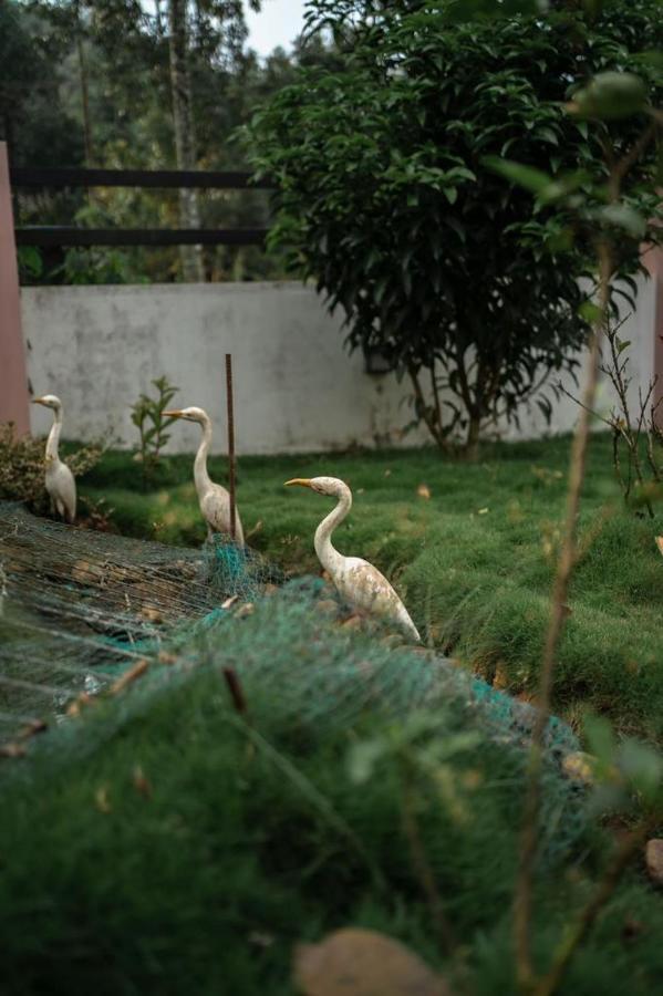 Vythiri Villas Wayanad Екстер'єр фото