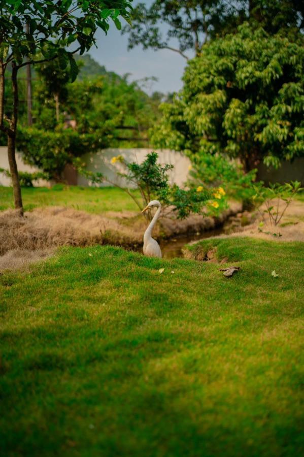 Vythiri Villas Wayanad Екстер'єр фото